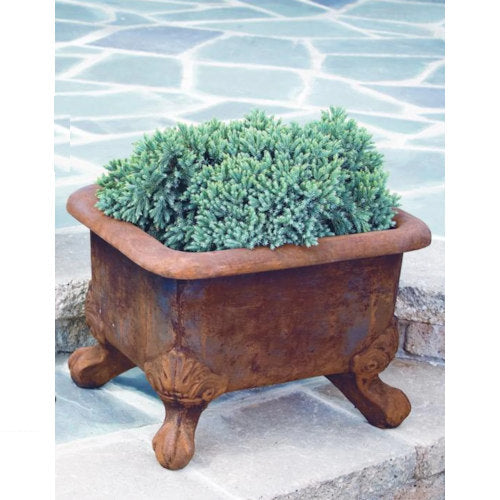 Basin Cement Planter with Feet