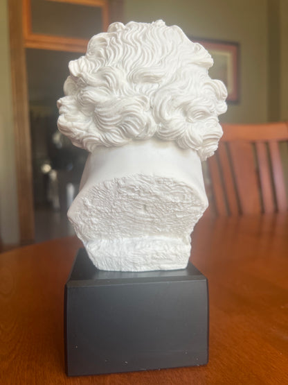 Back View Beethoven bust Prometheus portrait marble style composer statue