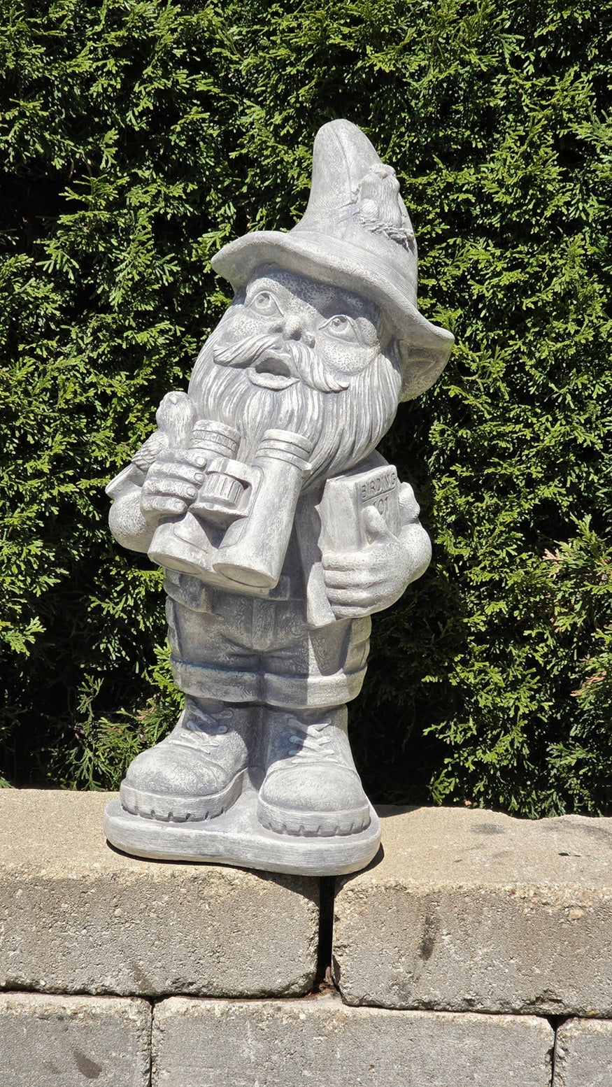 A gray stone gnome garden statue holding binoculars and a book, standing on a stone wall in front of a green hedge.