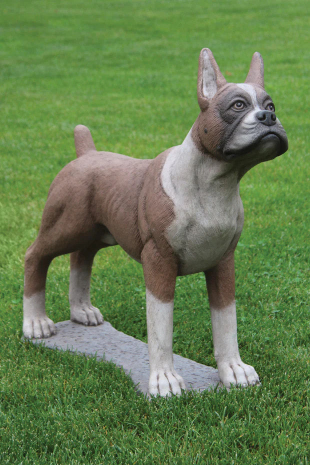 Life size boxer dog cast stone statue realistic detailed stain finish made in USA
