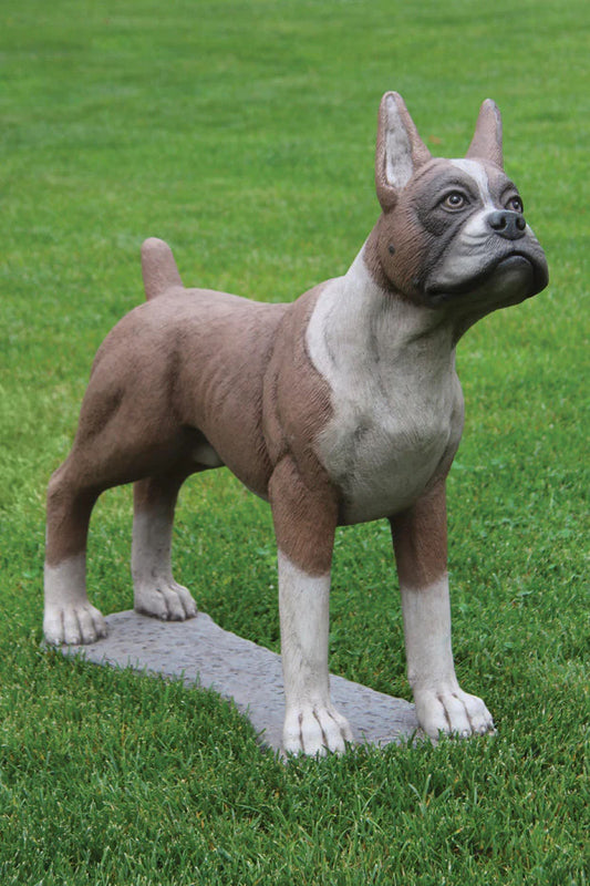 Life size boxer dog cast stone statue realistic detailed stain finish made in USA
