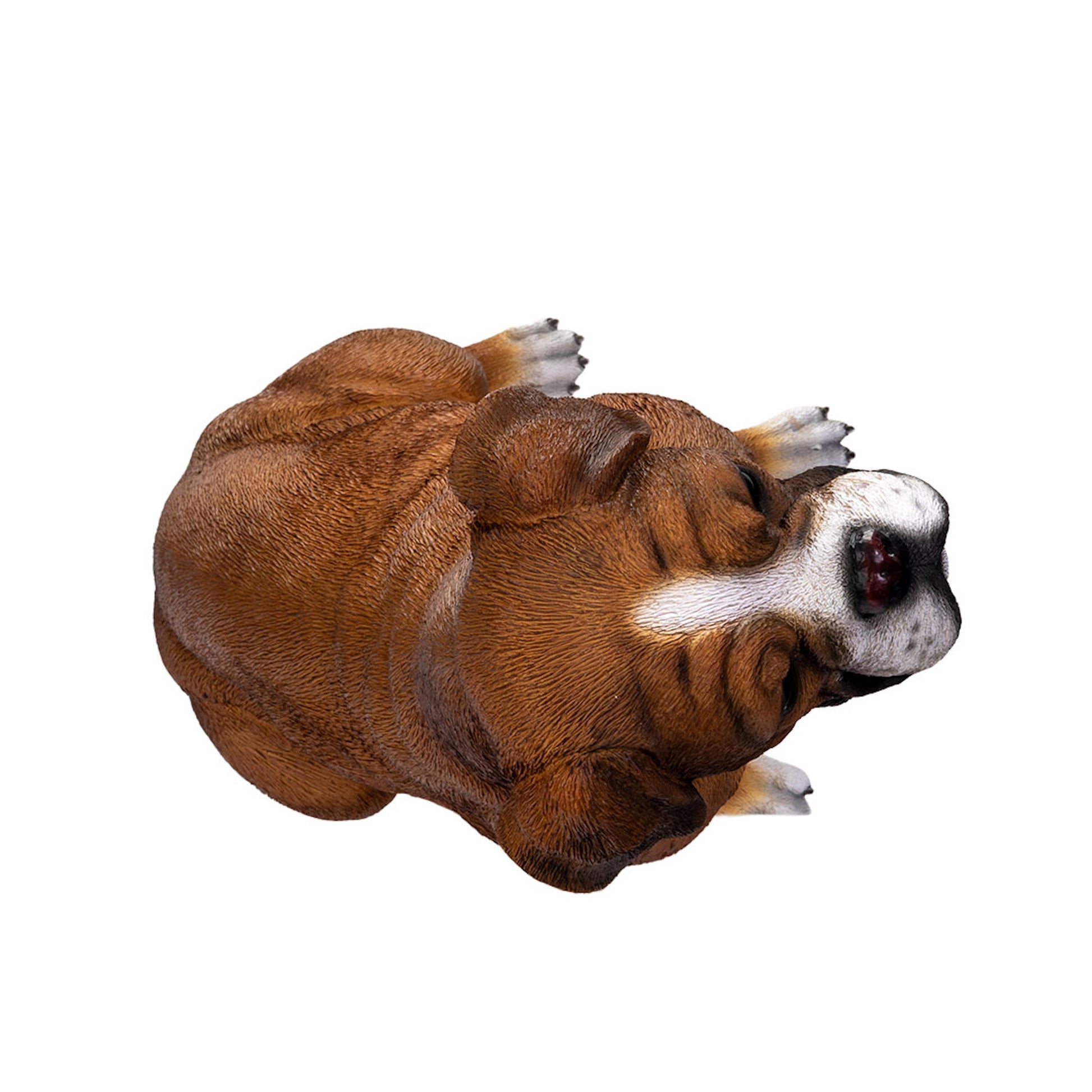 Boxer Companion Outdoor Sculpture top of head View of Dog Statue Realistic life size figurine