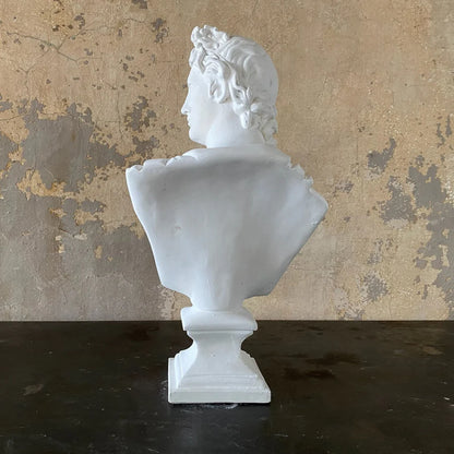 Bust of Apollo Museum Replica Sculpture  Back View of Statue plaster