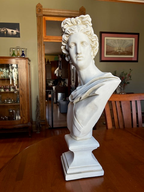 Apollo Bust side view one of the most revered gods in Greek and Roman mythology