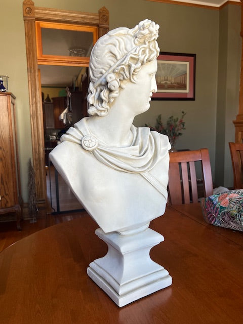 Decorative Bust of Apollo Greek and Roman God Sculpture Made out of plaster Drawing Study