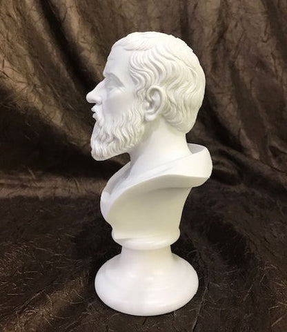 Bust of Plato Side View Head Ancient Philosopher Sculpture Art