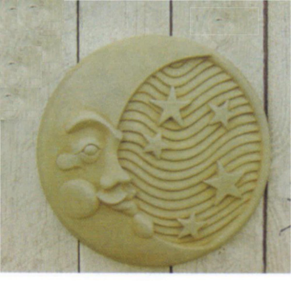 Moon the Celestial Body Wall Plaque