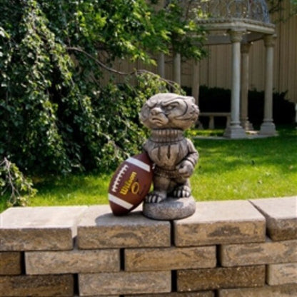 Wisconsin "Bucky Badger" College Mascot