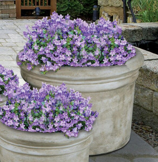 Rolled Rim Planter Large Cast Stone Heavy Duty Concrete Sculptural