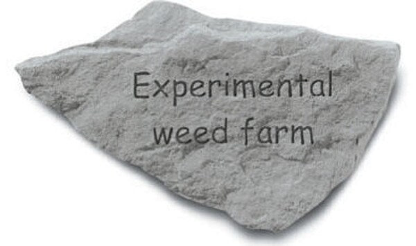 Concrete Stepping Stone funny message - Experimental weed farm