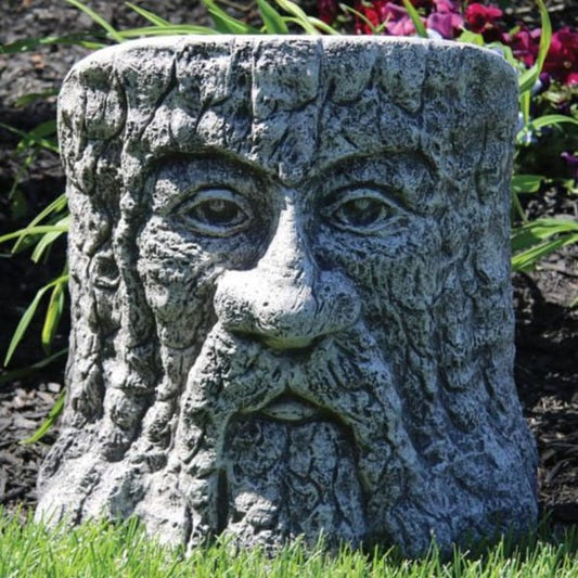 Tree Stump Woodland Face