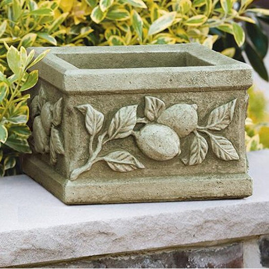 Mediterranean Square Limone Planter Cement Garden Lemons Urns