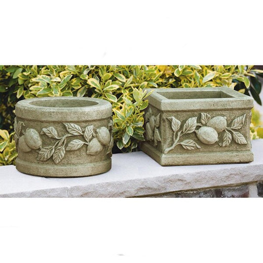 Round and Square Lemon Concrete Planters Matching Pair Mediterranean