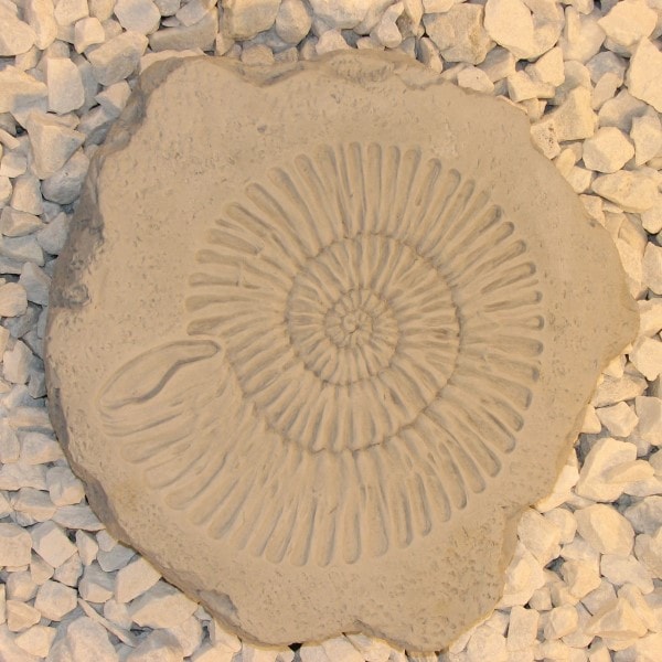 Cement Stepping Stone - Ammonite Step stone Sculpture