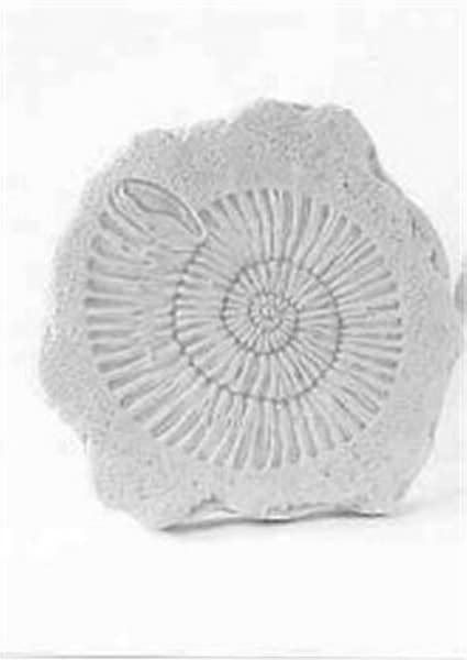 Cement Stepping Stone - Ammonite Step stone Sculpture