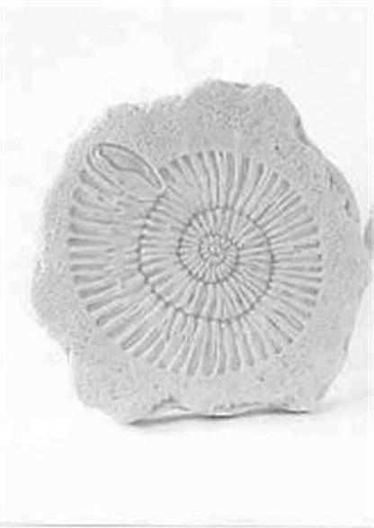 Cement Stepping Stone - Ammonite Step stone Sculpture