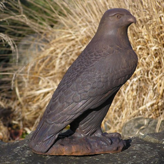 Hawk Sculpture 12" High
