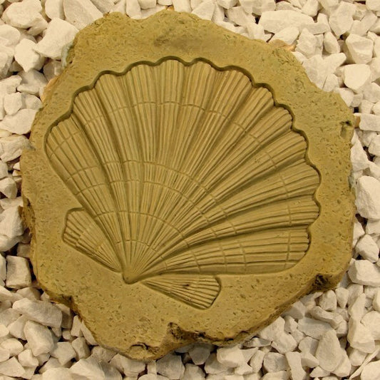 Shell Stepstone