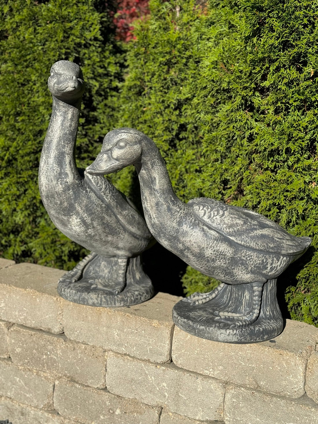 Meadow Watch Goose Pair cast stone garden statues on outdoor wall