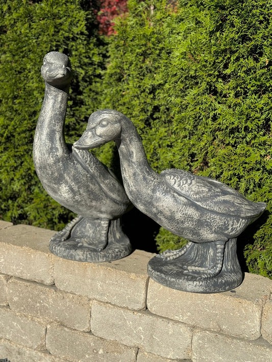 Meadow Watch Goose Pair cast stone garden statues on outdoor wall