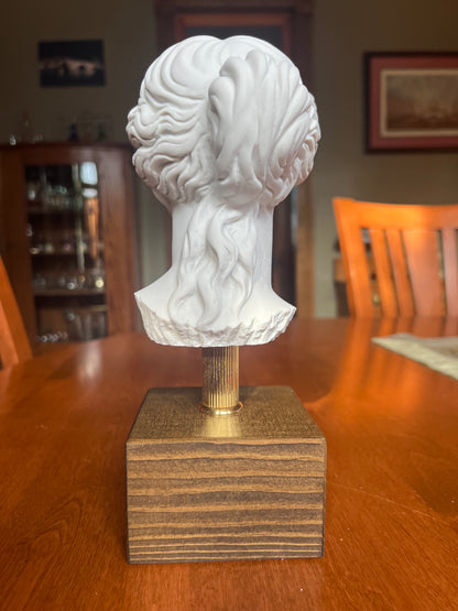 Classical Venus bust mounted on metal rod and wood base back view