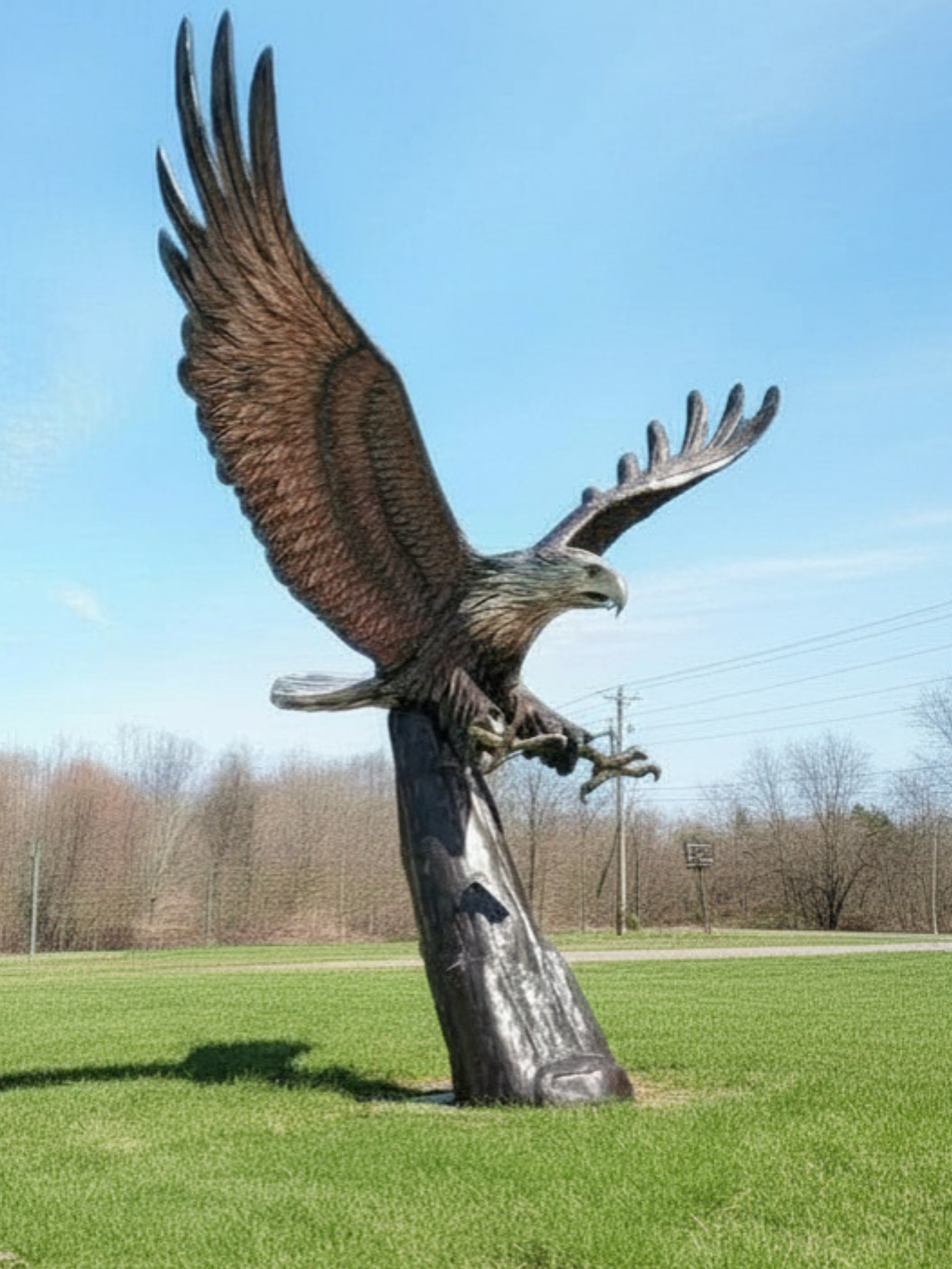 Commanding scale eagle meets museum-quality bronze in a soaring statement piece
