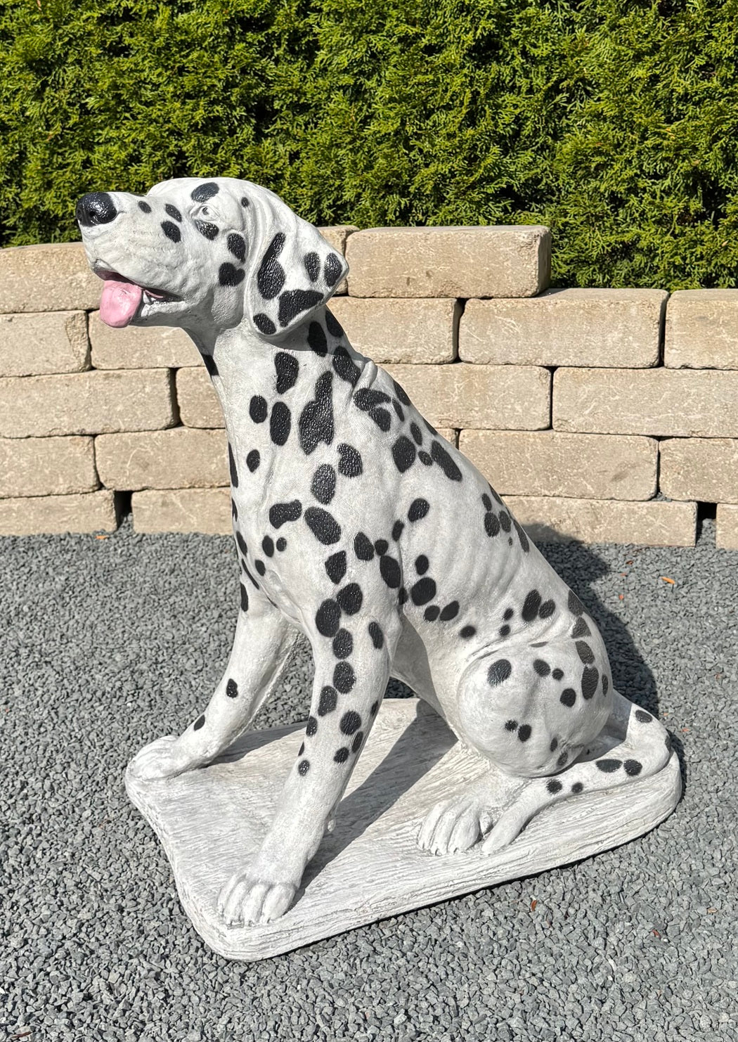 Dalmatian Dog Statue 27 Inches High Cast Stone Firehouse Sculpture Shown with spots