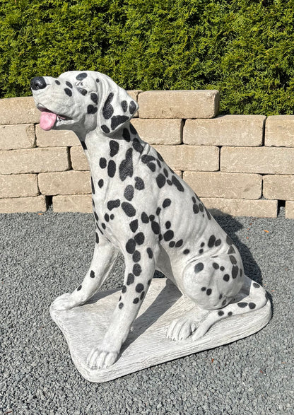 Dalmatian Dog Statue 27 Inches High Cast Stone Firehouse Sculpture Shown with spots