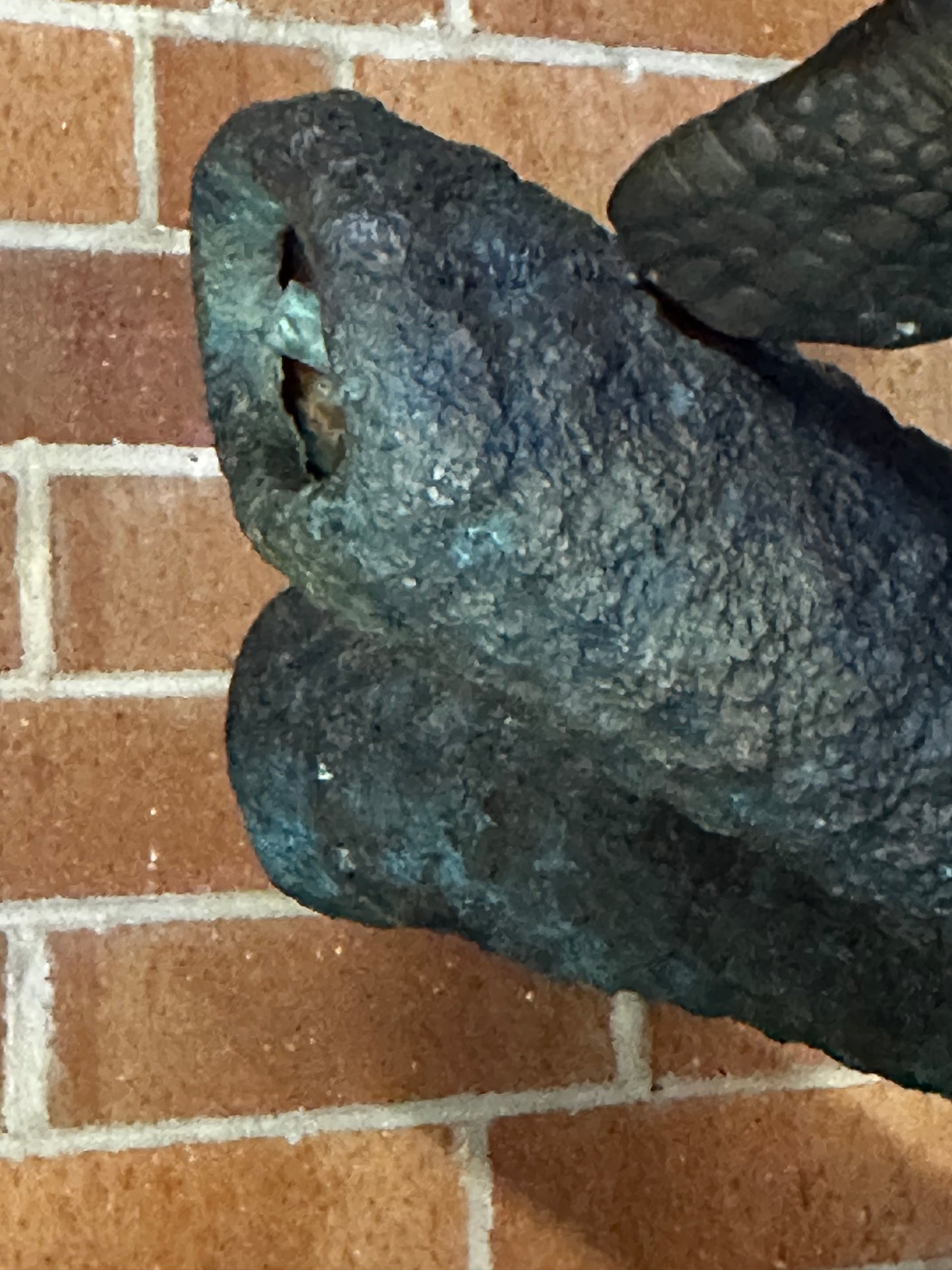 Close up of coral spout Coral Reef Bronze Turtle Fountain 