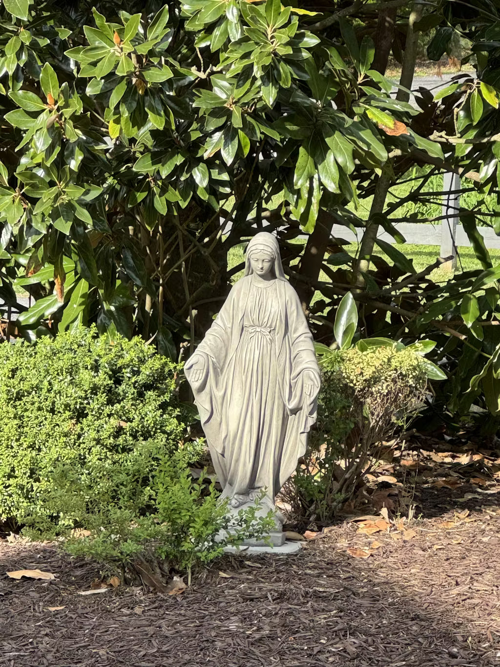 From customers yard Blessed Mother Mary Sculpture Garden Statue 