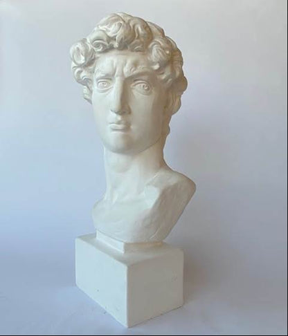 Bust of David by Michelangelo Plaster Large Scale Sculpture Reproduction