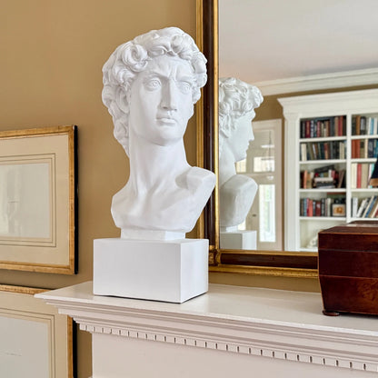 A white classical-style bust sculpture of Michelangelo's David on a rectangular pedestal, displayed on a white mantelpiece in an interior room with a gold-framed mirror, bookshelves, and framed wall art in the background.