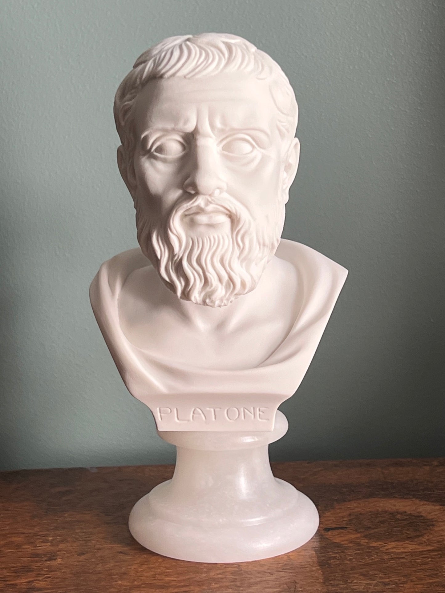 A white classical-style bust sculpture of Plato on a pedestal, displayed on a wooden surface against a muted gray-green wall.