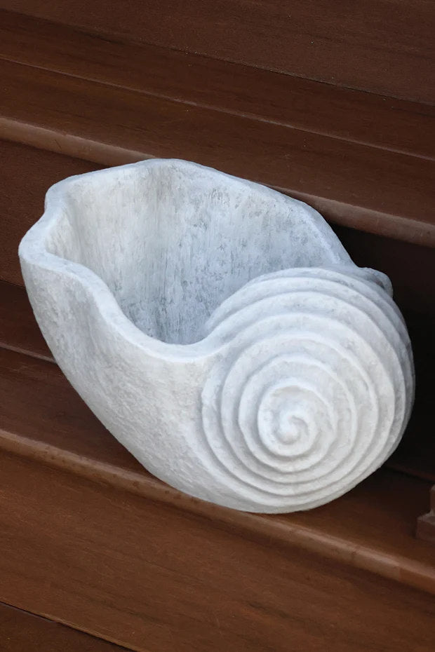 Decorative shell garden container with drainage hole