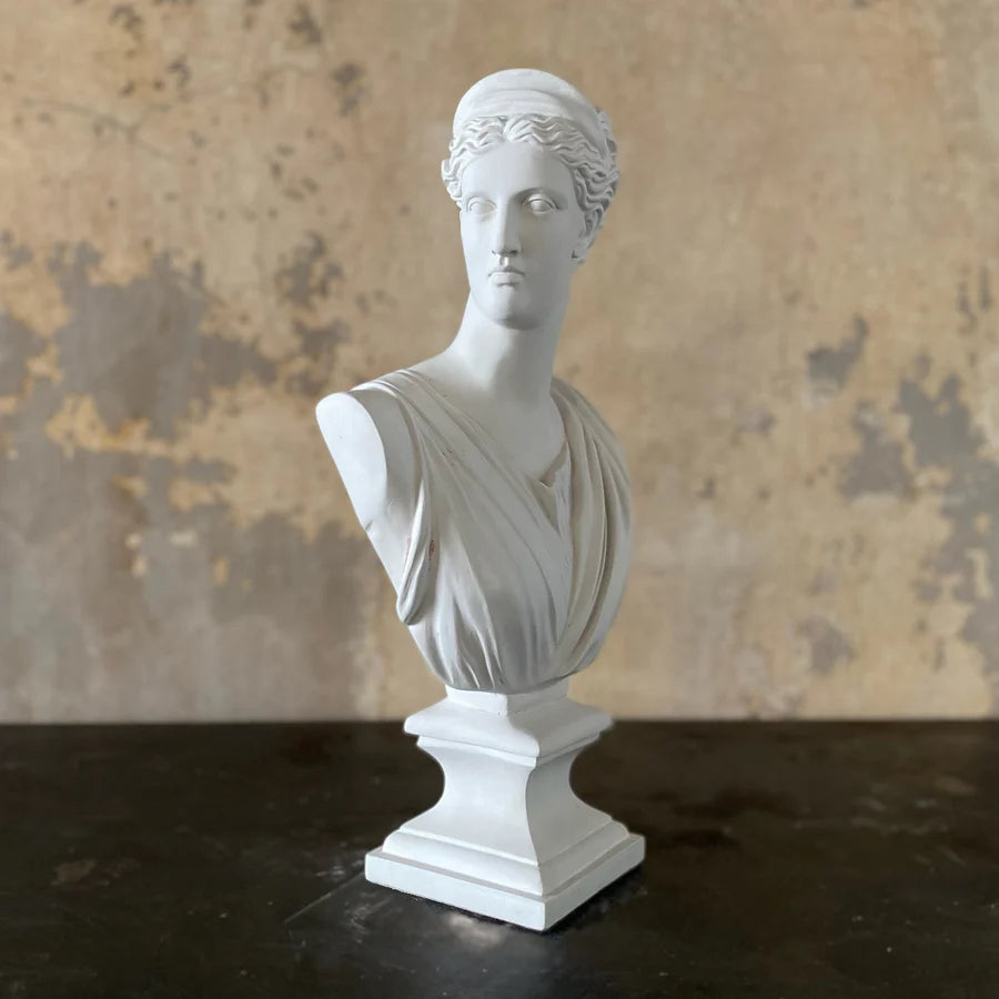 White classical bust sculpture on a dark surface with a textured brown background