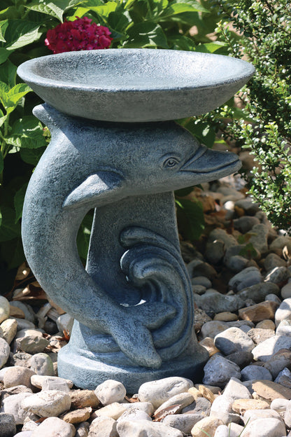A gray stone dolphin-shaped bird bath set in a garden with pebbles and green foliage. waves garden accent for poolside landscaping