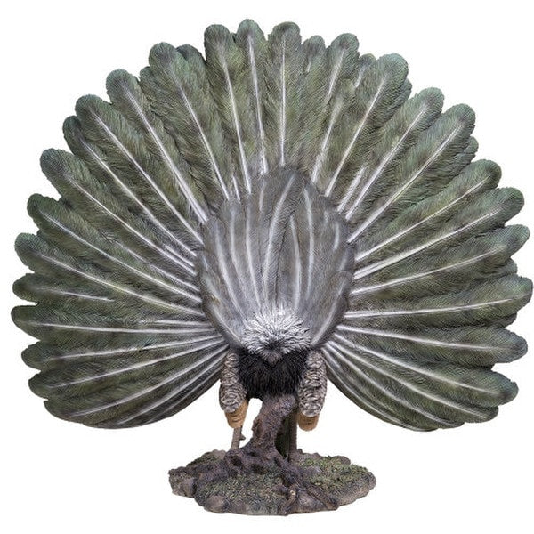 Rear View of Peacock Statue Grand Display of Feathers