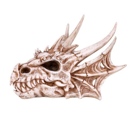 Dragon Skull Statue Replica Reproduction Head Unique Fantasy