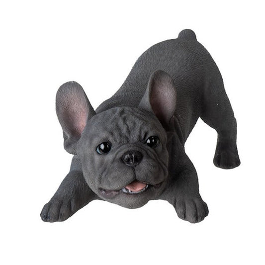 Grey Frenchie Bulldog Sculpture playful pose lifelike statue figurine art