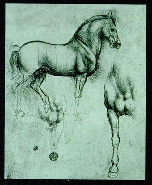 Drawing Study Sculptural Horse Leonardo da Vinci School Statues Cast