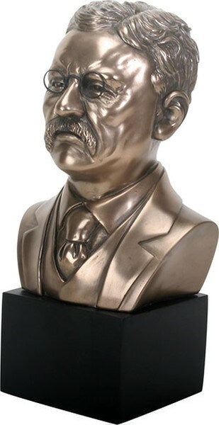 Theodore Roosevelt Bust Sculpture Portrait Head Side View Statue
