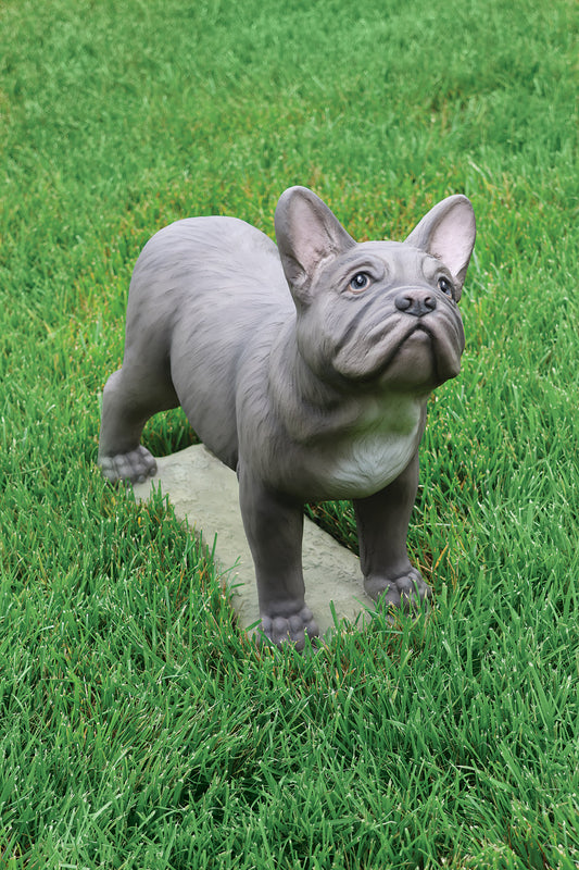 A gray French Bulldog garden statue standing on a stone slab in a green grass lawn.