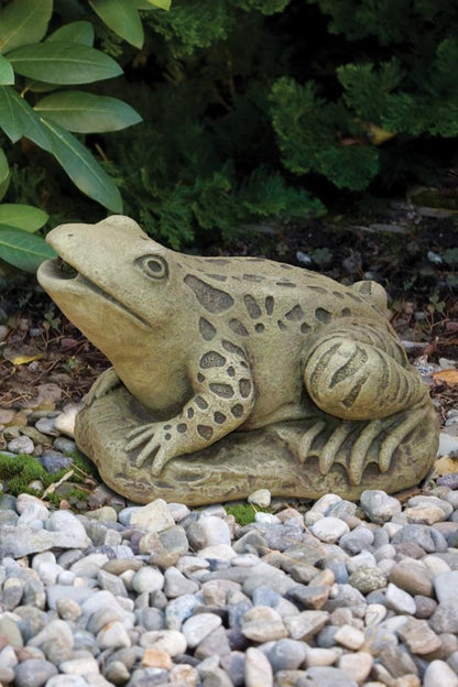 Frog Plumbed Large Water Feature Statue Shown in Green Moss