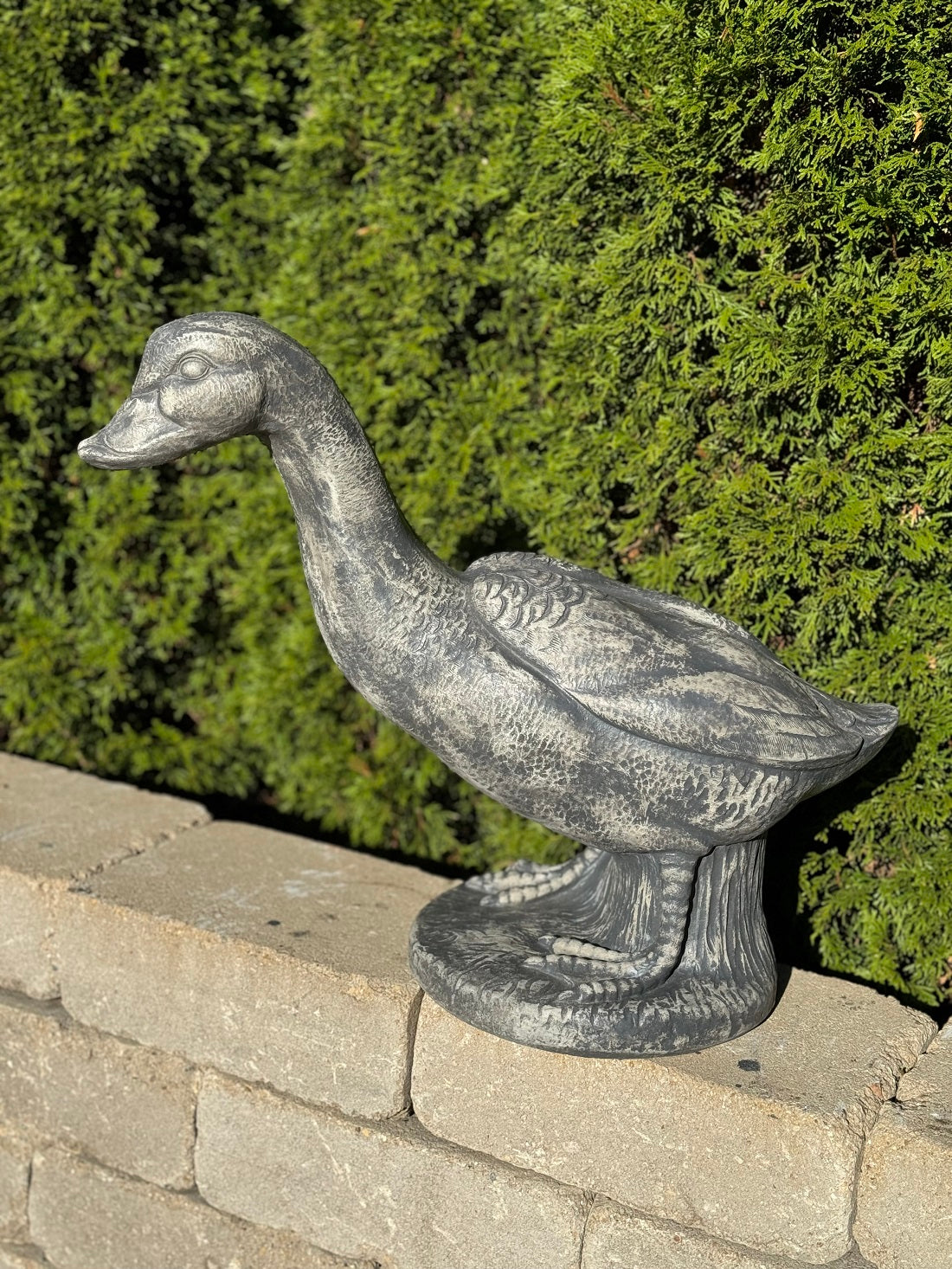 Gander Goose Garden Statue in cast stone shown on garden wall