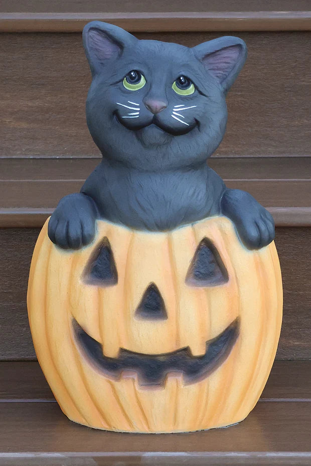Halloween cat in jack o lantern pumpkin statue smiling kitten