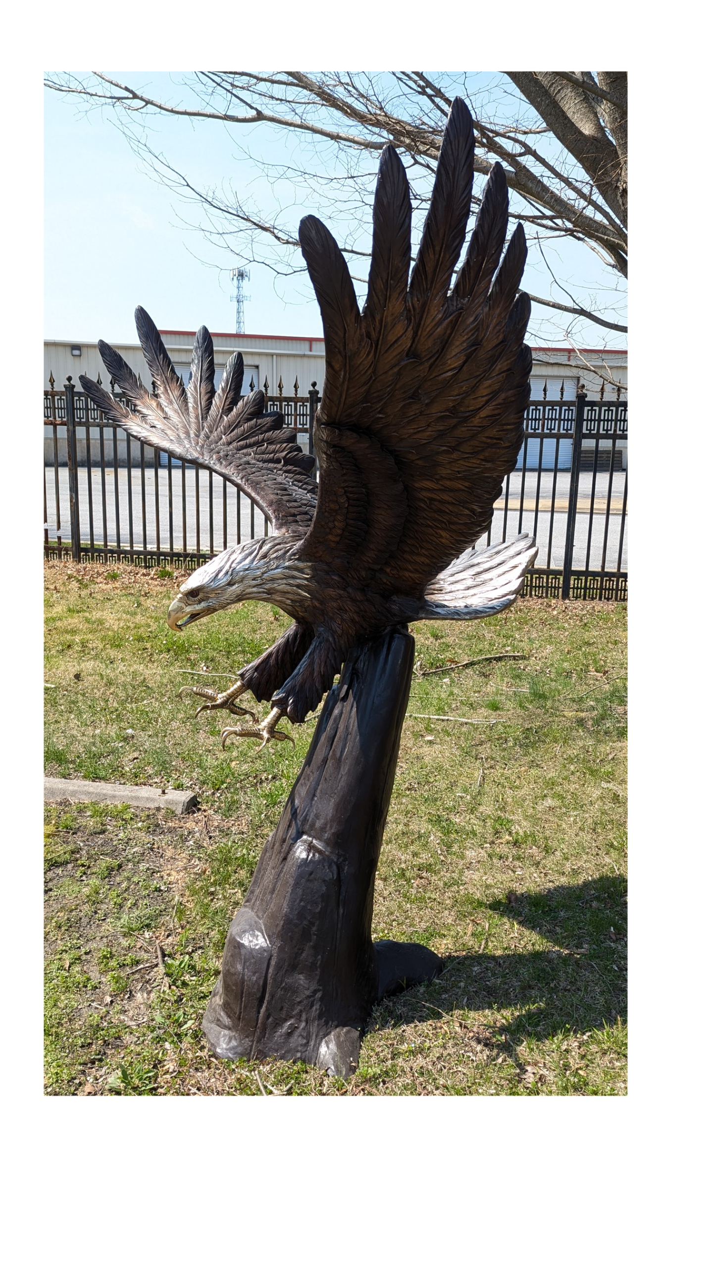Large solid bronze eagle sculpture in dramatic flight pose