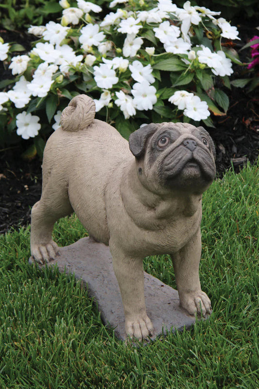 Life size pug dog cast stone statue realistic detailed stain finish made in USA