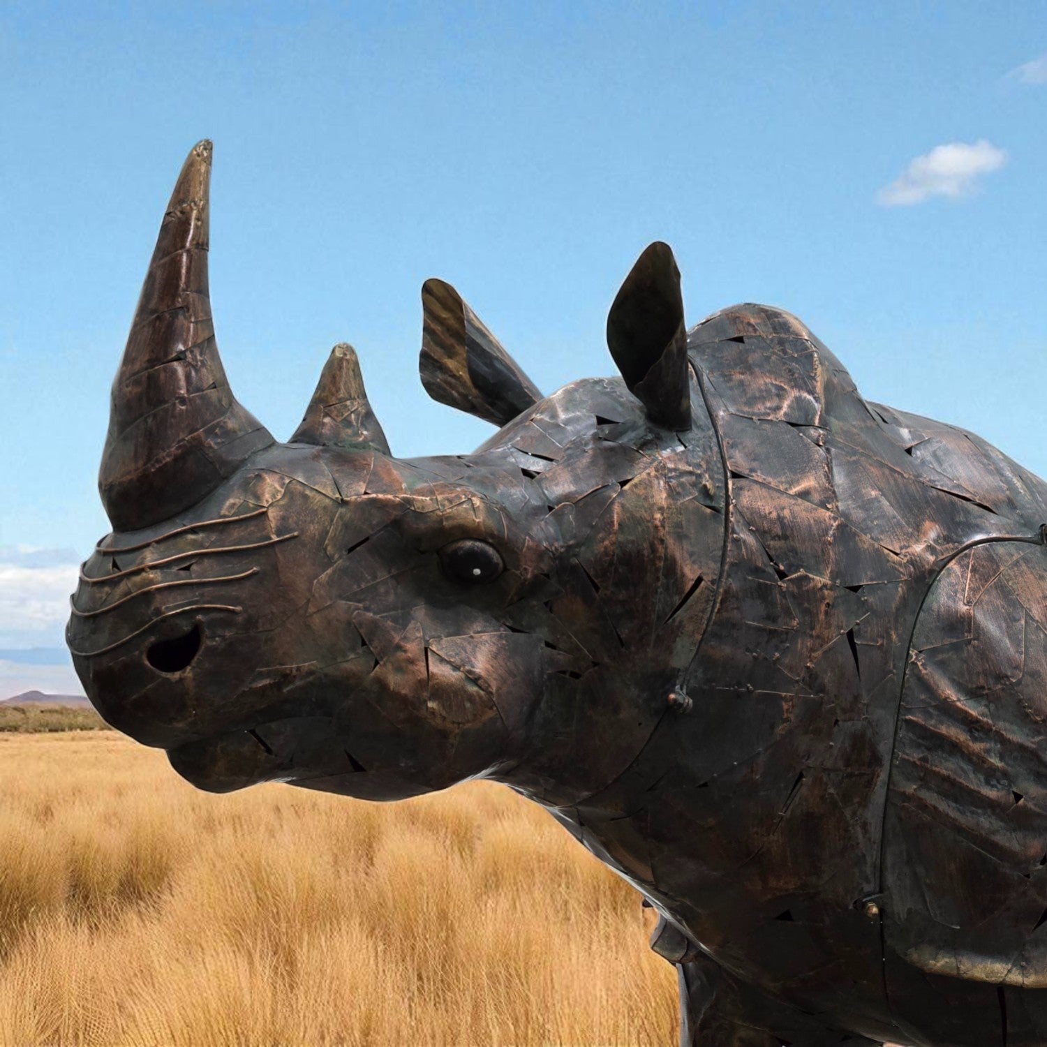 Close up of head Large life-size iron rhinoceros garden statue outdoors with rugged detailing