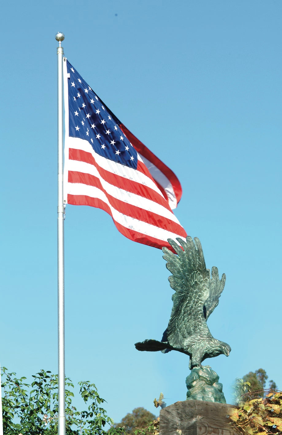 Lost wax bronze eagle sculpture with sepia and emerald patina