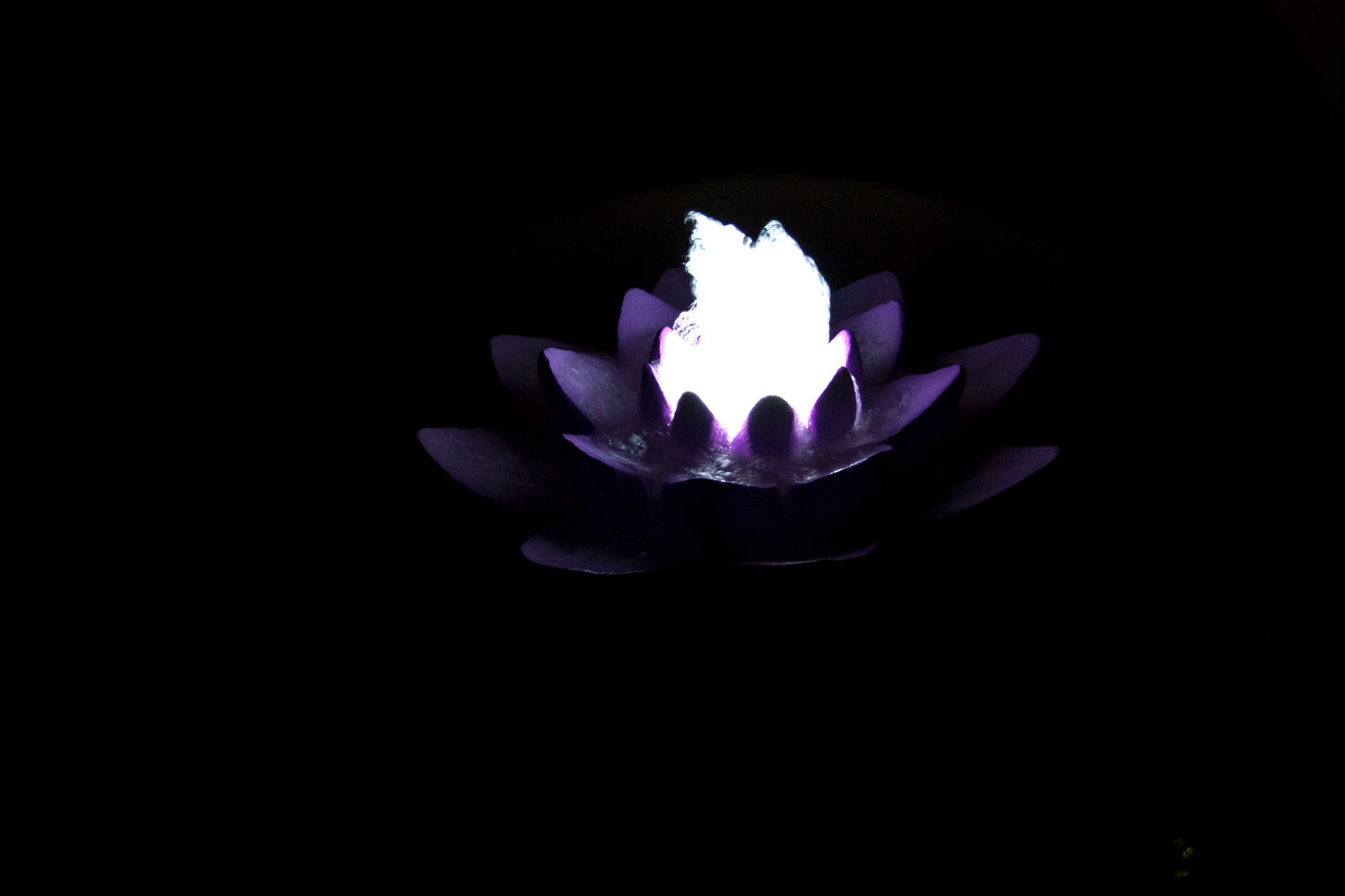 illuminated lotus garden fountain night time photo of water feature blossom